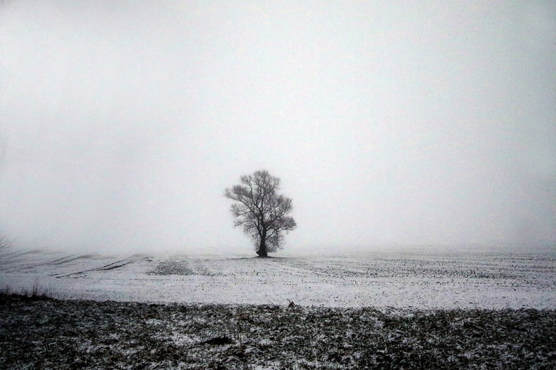 Winter tree, Ohrdruf, Germany
