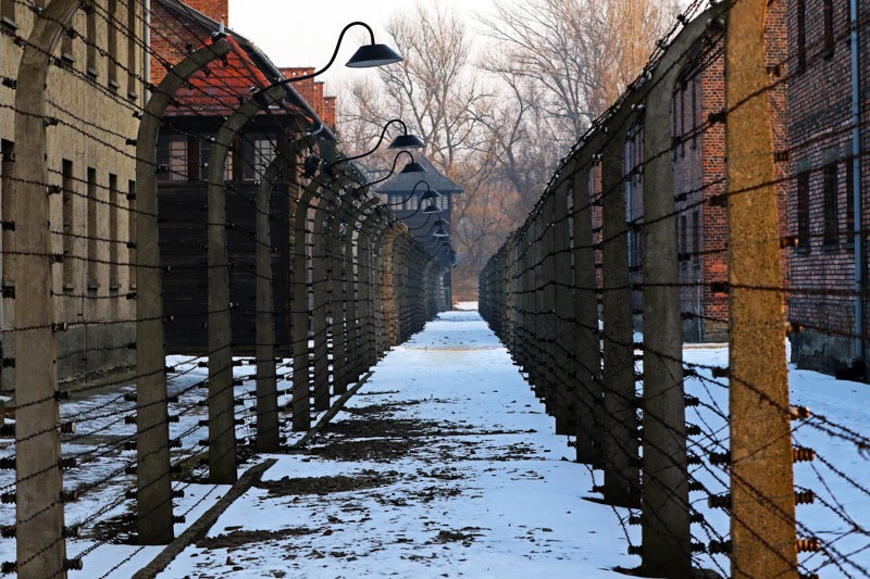 Auschwitz today.jpeg