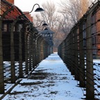 Auschwitz today.jpeg