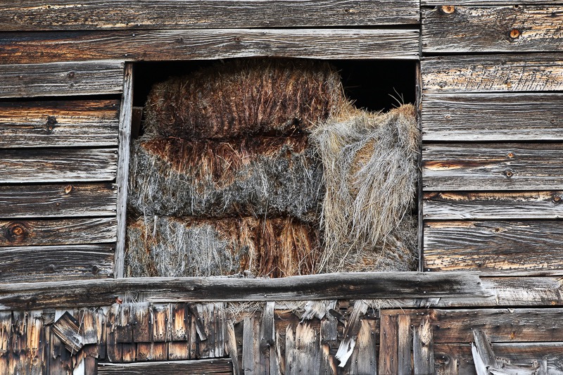 Hay bales, Wilmington, NY
