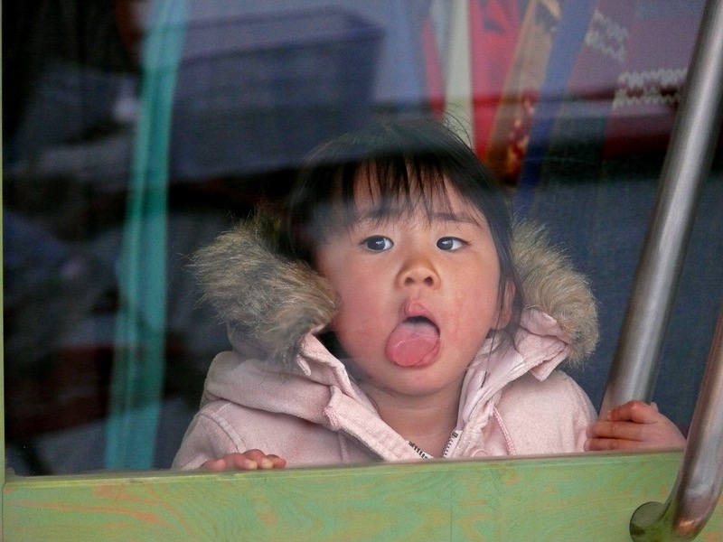 Window licker, Nagano, Japan

