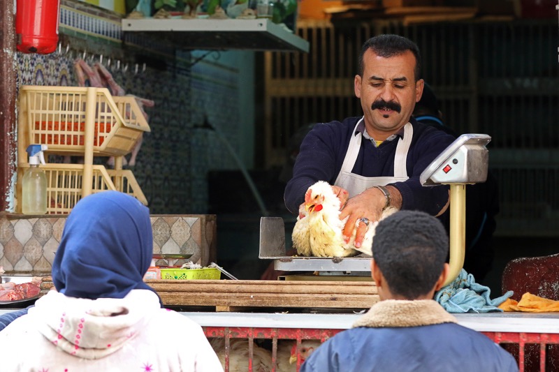 Choking the chicken. Casablanca, Morocco.jpg