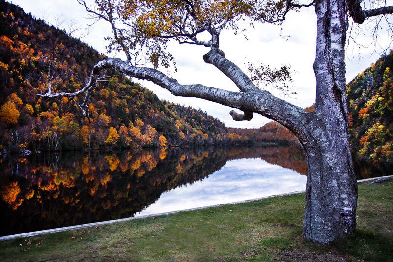 Fall on the Cascade, Lake Placid, NY

