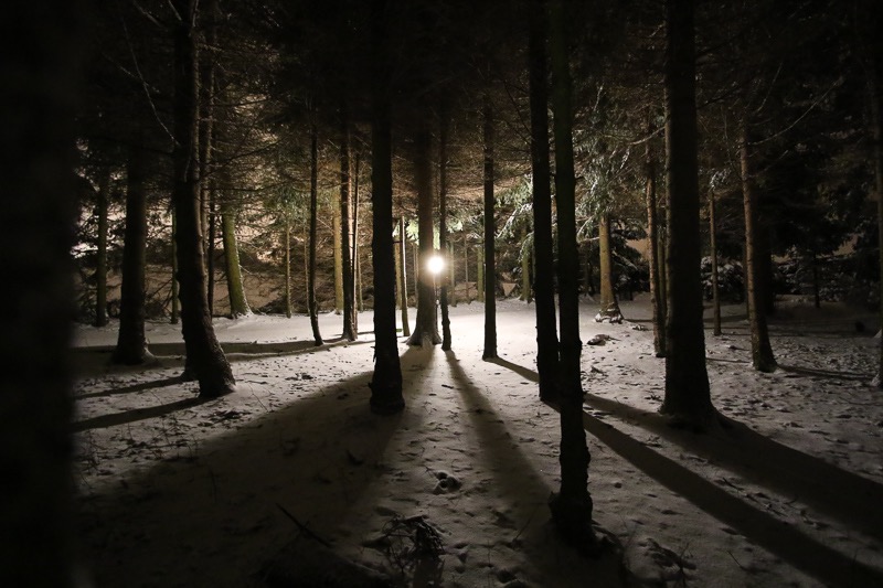 Light in the dark, Altenberg, Germany 1
