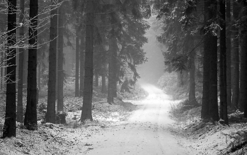Winter road, Ohrdruf, Germany

